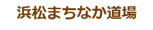 Budo Mixed Martial Arts logo