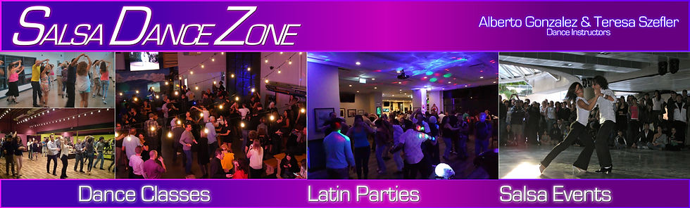 Salsa Dance Zone logo